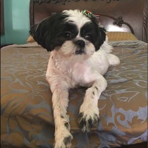 Meet your Posher, Leslie